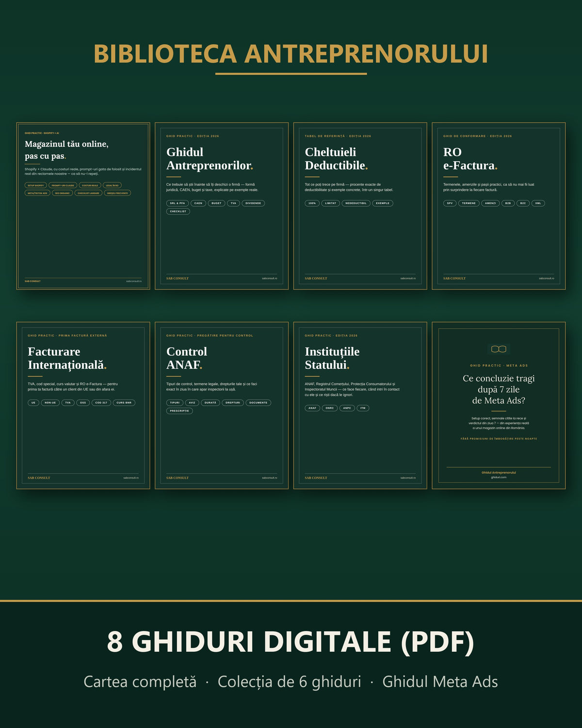 Biblioteca Antreprenorului — 8 ghiduri digitale PDF