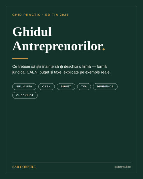 Ghidul Antreprenorilor