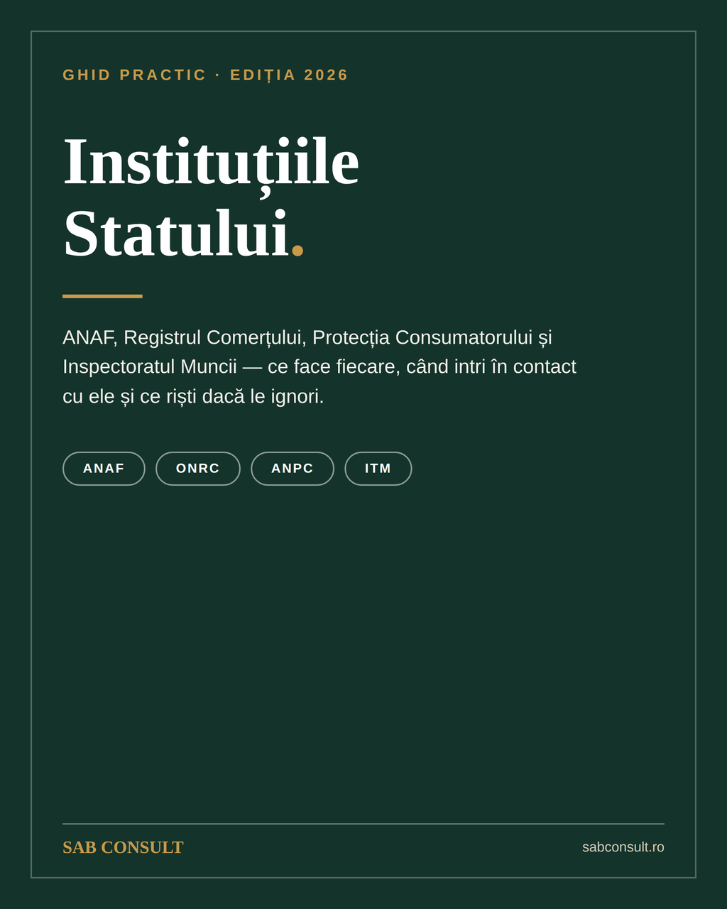 Instituțiile Statului — Ghid pentru Antreprenori