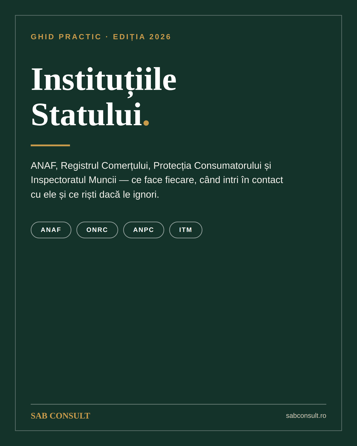 Instituțiile Statului — Ghid pentru Antreprenori