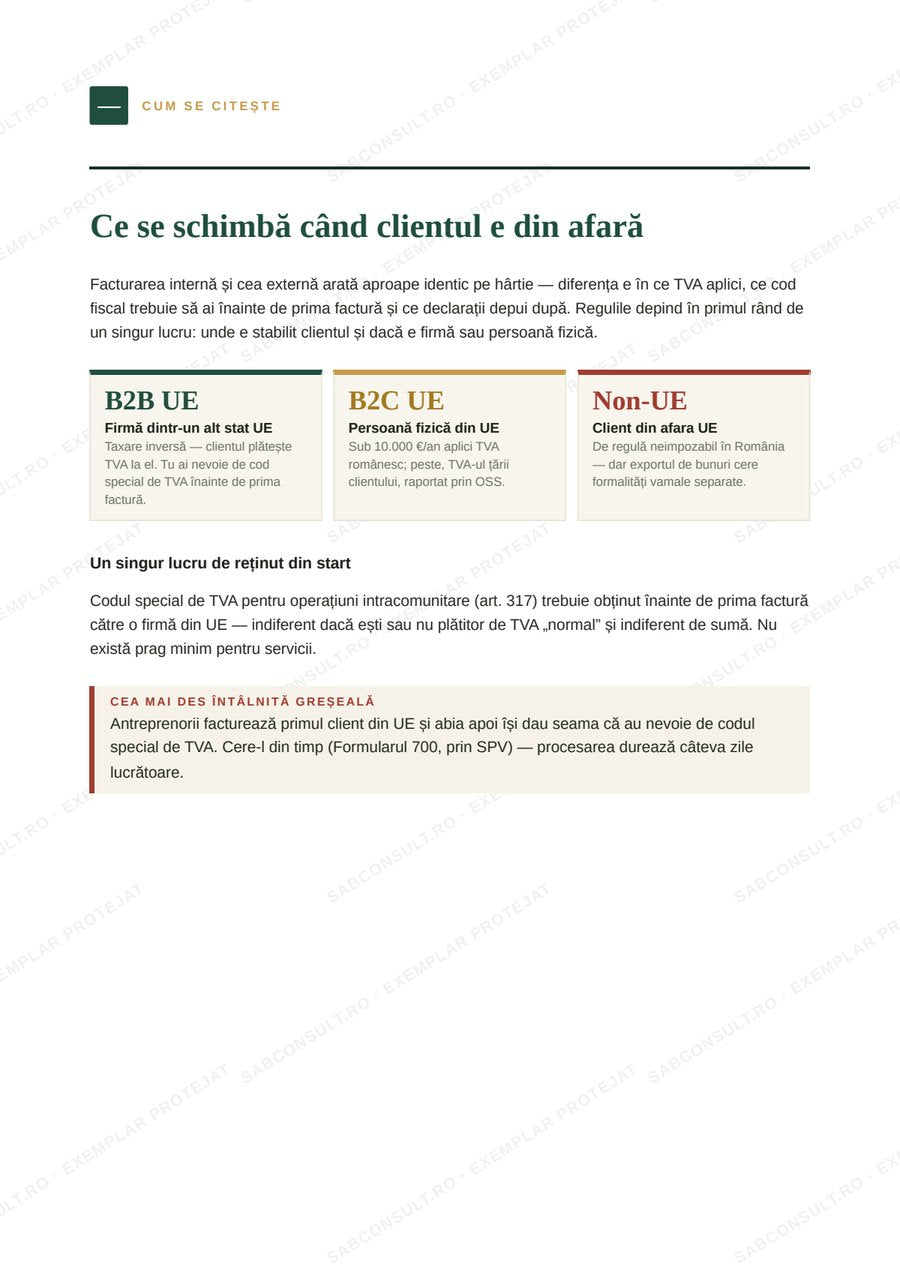 Pagină din ghidul Facturare Internațională