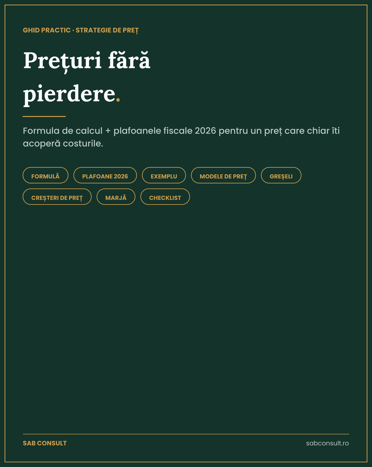 Coperta ghidului Cum stabilești prețuri ca să nu lucrezi în pierdere