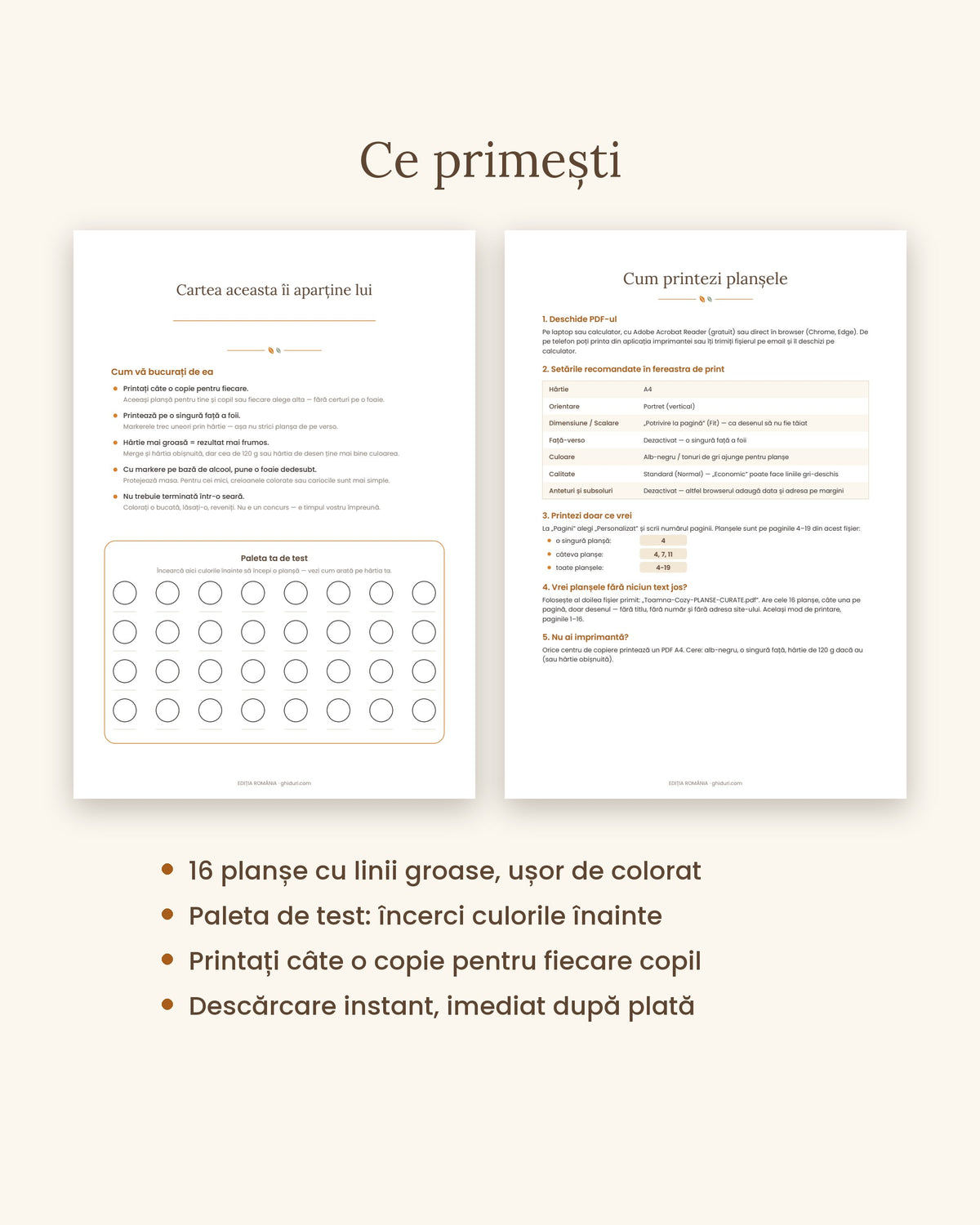 Ce primiți: 16 planșe, paleta de test, instrucțiuni de print, câte o copie pentru fiecare copil